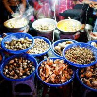 Tour Du Lịch Nha Trang – 3 ngày 3 đêm2