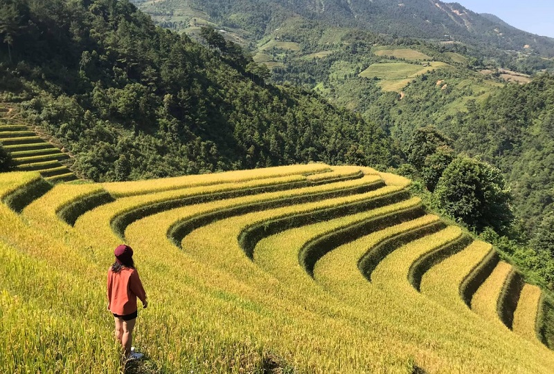 Tour Du Lịch Hoàng Su Phì 2 Ngày 1 Đêm6