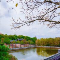 Tour Du Lịch Hạ Long Ninh Bình 3 Ngày 2 Đêm7