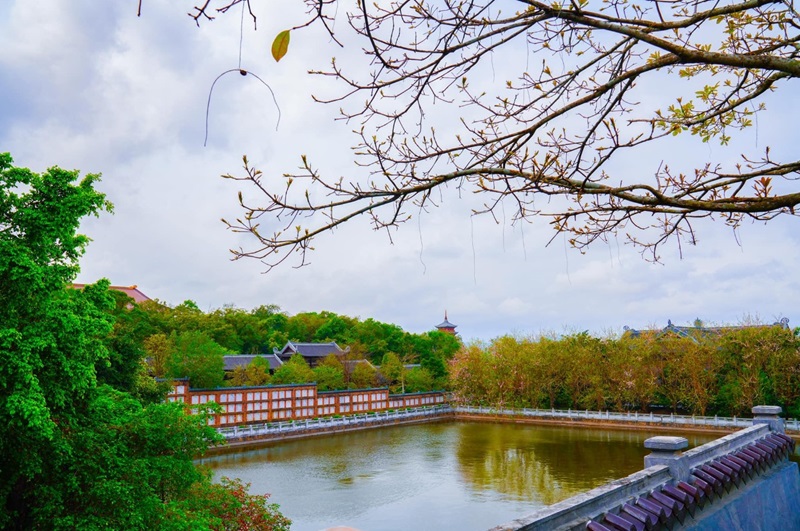 Tour Du Lịch Hạ Long Ninh Bình 3 Ngày 2 Đêm7