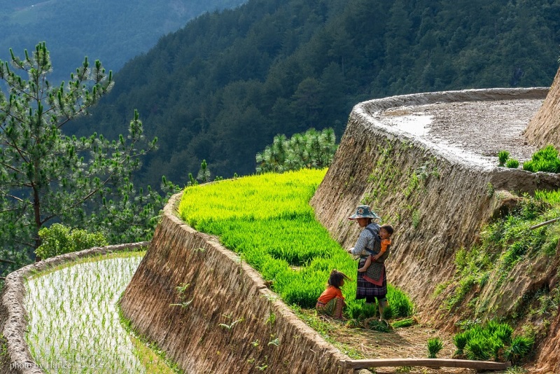 Tour Du Lịch Hoàng Su Phì 2 Ngày 1 Đêm7