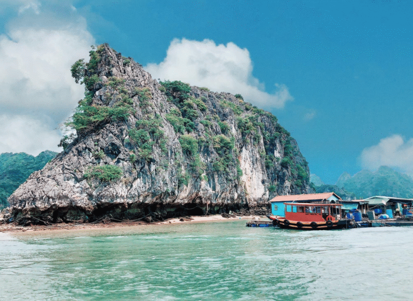 Tour Đảo Ngọc Cát Bà – Vịnh Lan Hạ 3 Ngày 2 Đêm1
