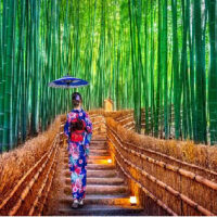 Tour du lịch Cung đường vàng Nhật Bản 6 ngày 5 đêm6
