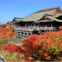 Tour du lịch Cung đường vàng Nhật Bản 6 ngày 5 đêm
