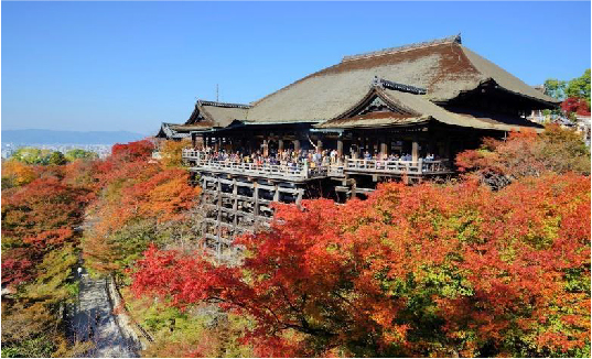 Tour du lịch Cung đường vàng Nhật Bản 6 ngày 5 đêm