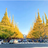 Tour du lịch Cung đường vàng Nhật Bản 6 ngày 5 đêm8