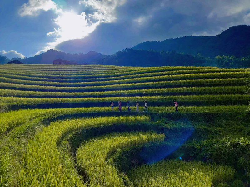 Tour Du Lịch Hoàng Su Phì 2 Ngày 1 Đêm