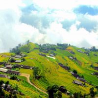 Tour Du Lịch Hoàng Su Phì 2 Ngày 1 Đêm5