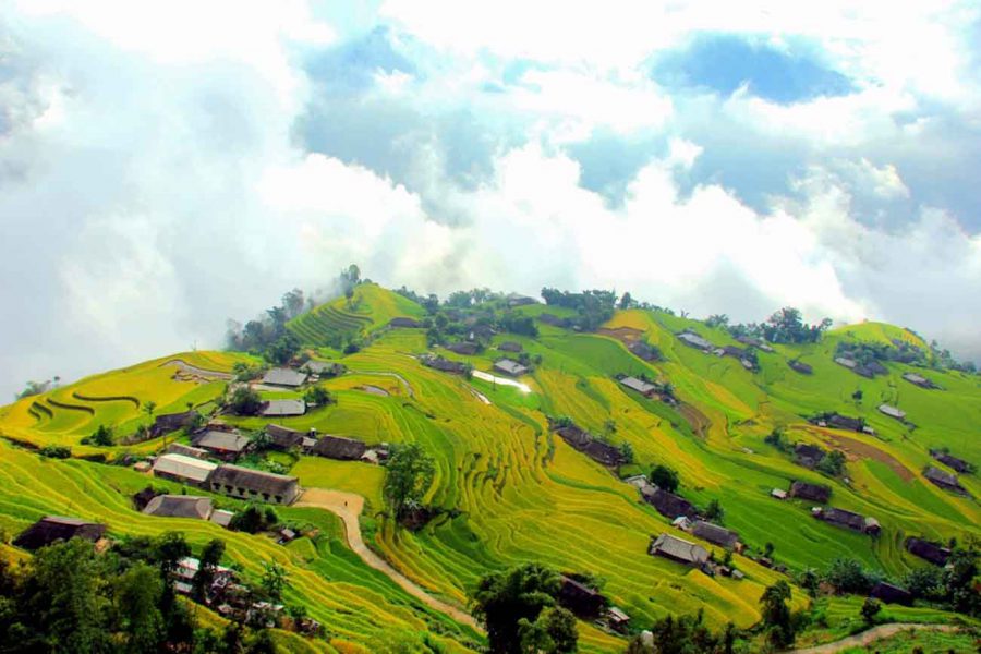 Tour Du Lịch Hoàng Su Phì 2 Ngày 1 Đêm5