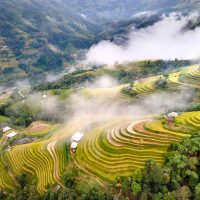 Tour Du Lịch Hoàng Su Phì 2 Ngày 1 Đêm3
