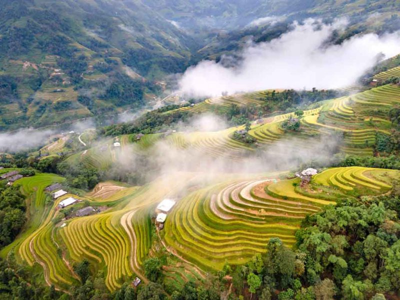 Tour Du Lịch Hoàng Su Phì 2 Ngày 1 Đêm3