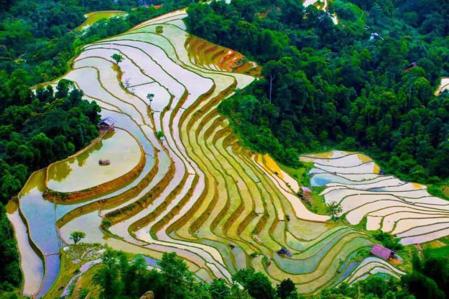 Tour Du Lịch Hoàng Su Phì 2 Ngày 1 Đêm2