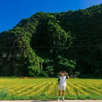 Tour Du Lịch Ninh Bình Từ Hải Phòng 3 Ngày 2 Đêm4